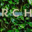 Hotel Arche 