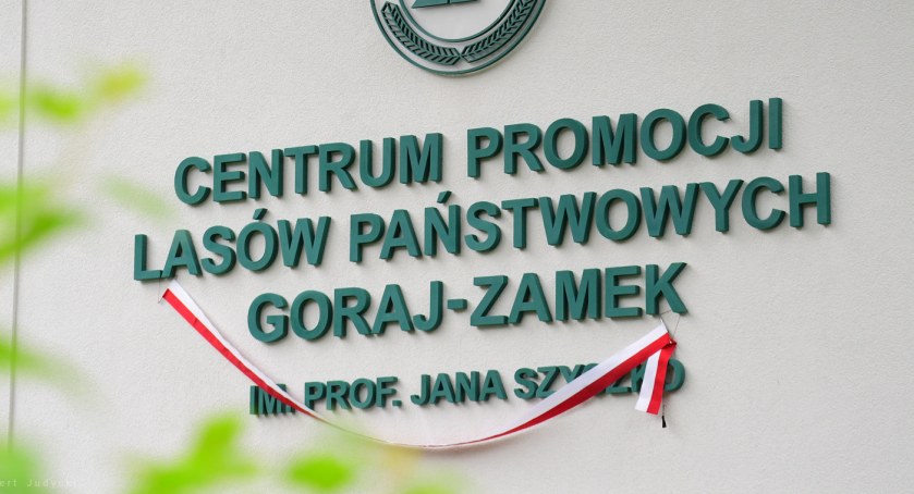 fot. Robert Judycki (materiały prasowe RDLP Piła)