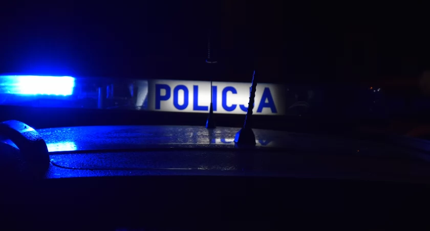 Śmiertelny wypadek na trasie Trzcianka - Czarnków (Fot. Policja)