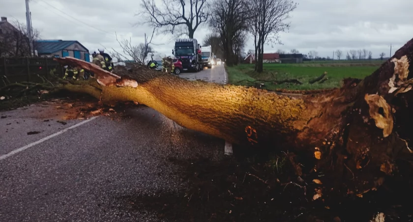 Fot. Strażacy z powiatu czarnkowsko-trzcianeckiego interweniowali ponad 40 razy (Fot. OSP Połajewo)