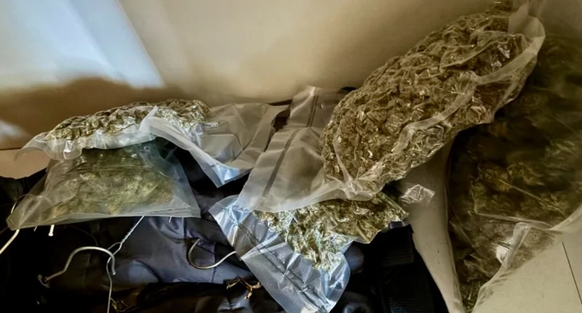 Policjanci zabezpieczyli ponad 6 kilogramów marihuany