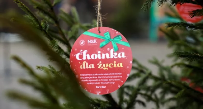 W piątek, 15 grudnia, w Czarnkowie odsłona ogólnopolskiej akcji Choinka za życie (Fot. Lasy Państwowe)