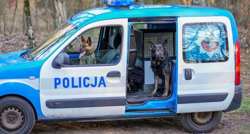 fot. sierż. szt. Wojciech Zeszot/ KPP Piła