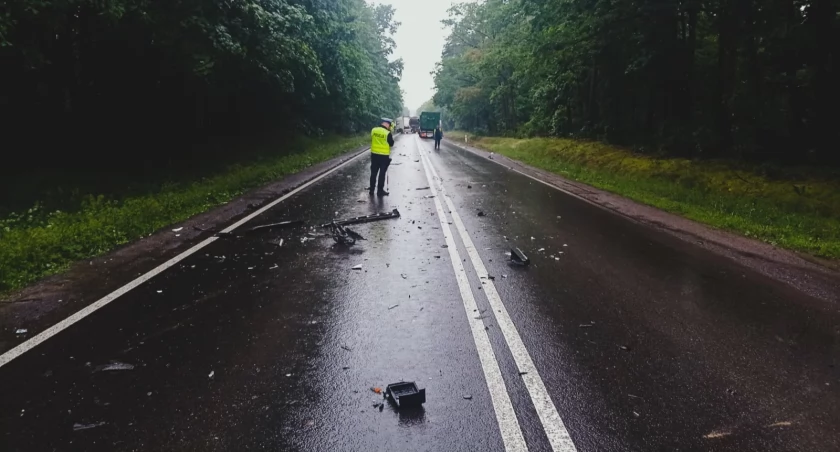 Śmiertelny wypadek na DK10 między Śmiłowem a Grabównem (Fot. KP PSP Piła)