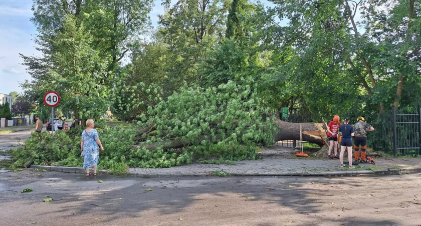 fot. PiłaOnline