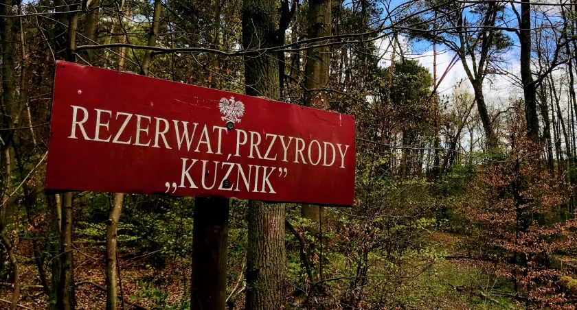 fot. PiłaOnline (archiwum)