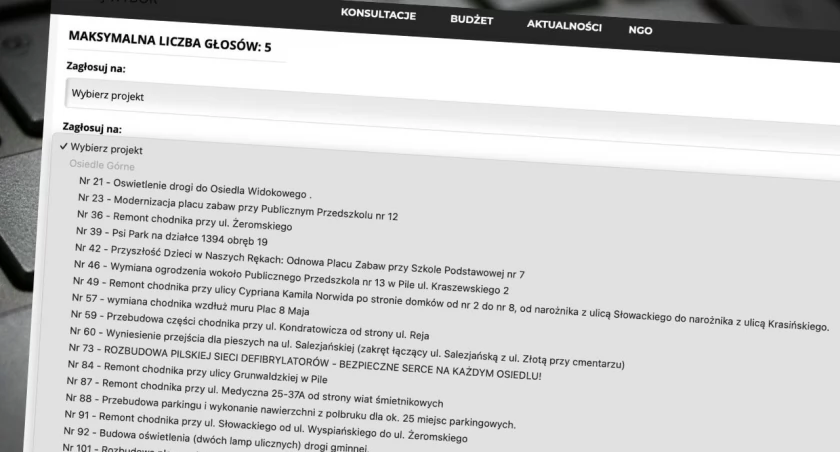 fot. KonsultacjeSpoleczne.Pila.pl