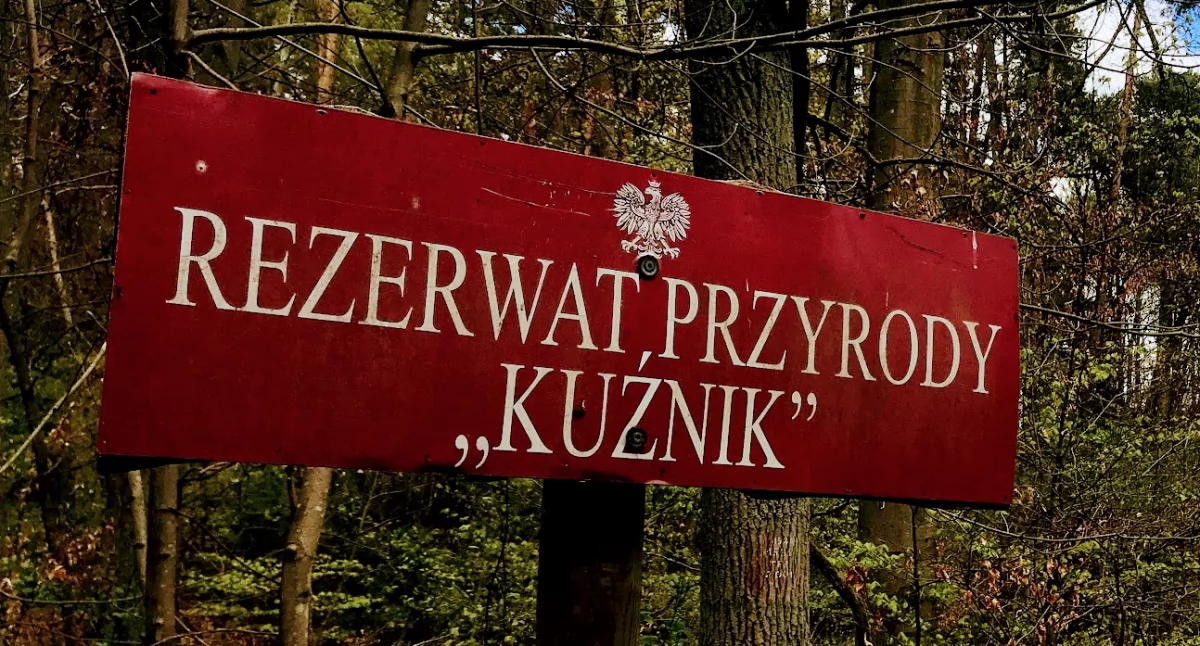 fot. PiłaOnline