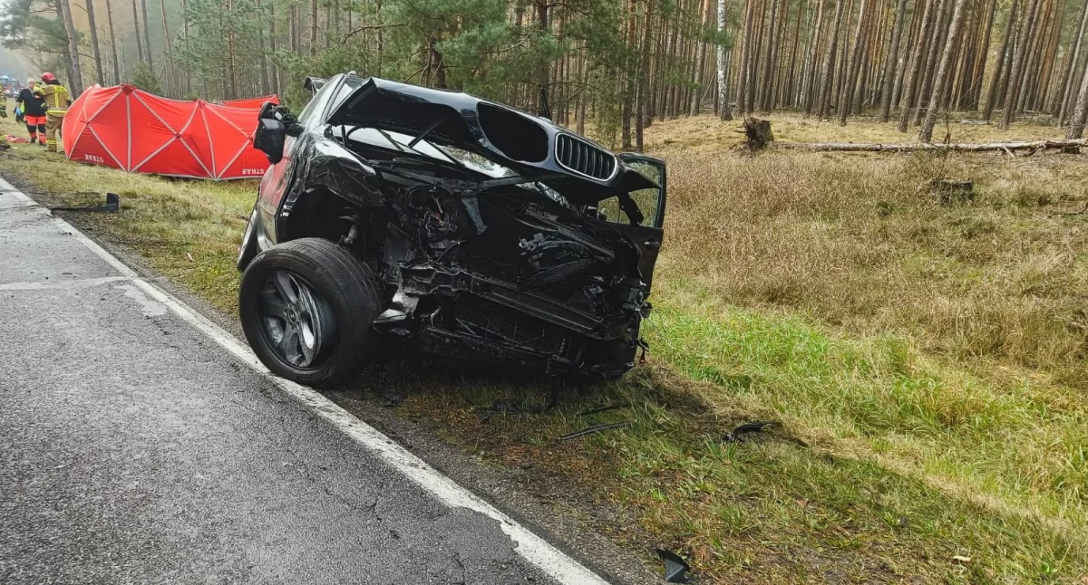 Do wypadku doszło na drodze wojewódzkiej nr 180 na trasie Piła - Stobno (Fot. KP PSP Czarnków)