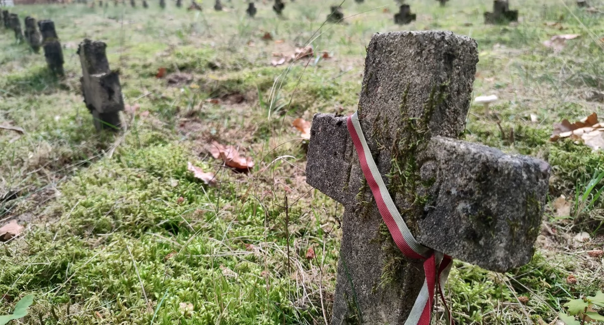 Cmentarz jeniecki z I wojny światowej w Pile-Leszkowie (Fot. Agnieszka Świderska)