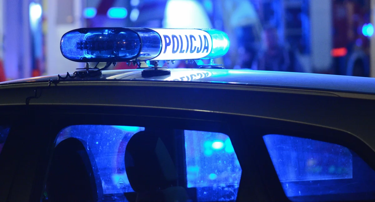 Policja poszukuje sprawców śmiertelnego wypadku w Lubaszu (Fot. pixabay)