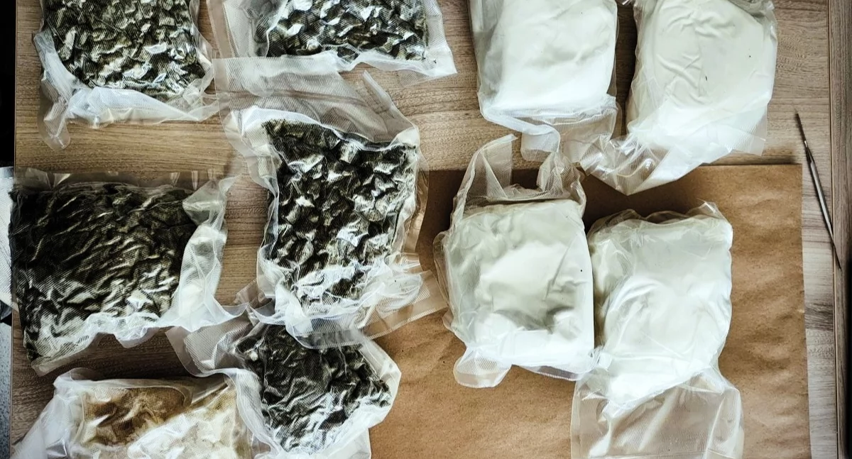 Kryminalni z KPP w Pile przejęli łącznie ponad 5 kilogramów narkotyków (Fot. KPP Piła)