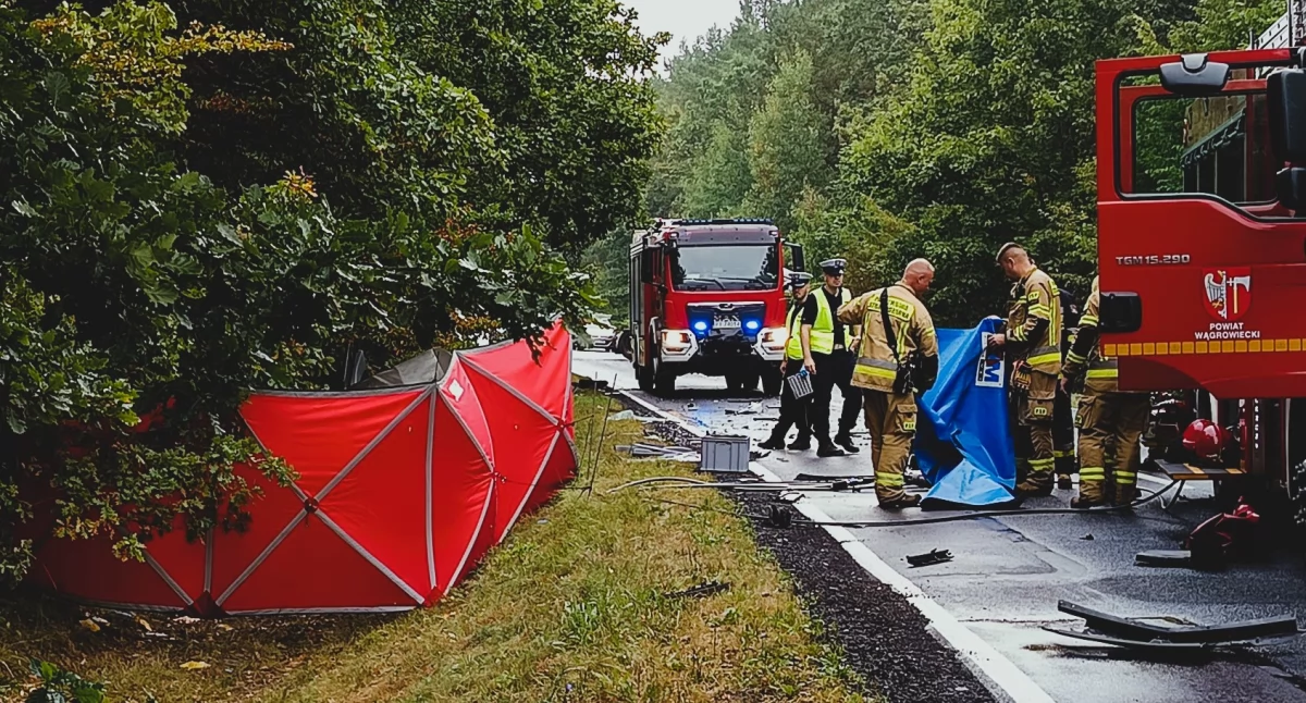 Śmiertelny wypadek na DW241 Wągrowiec-Rogoźno (Fot. KPP Wągrowiec)