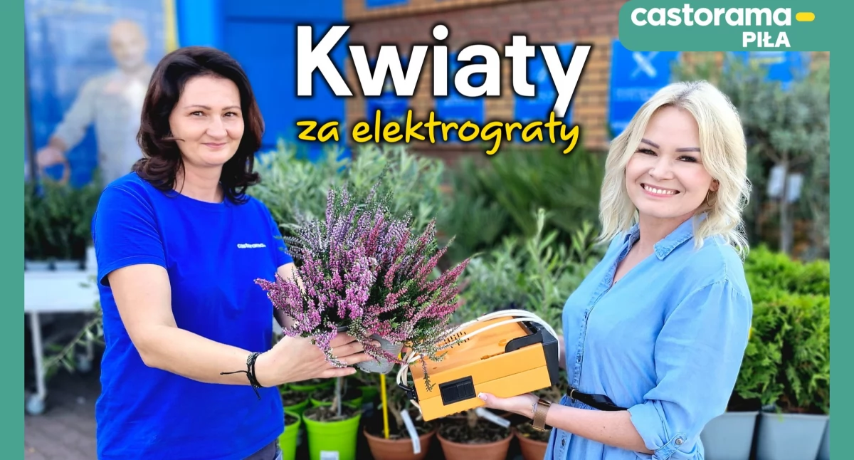 Castorama w Pile zaprasza do wzięcia udziału w akcji Kwiaty za elektrograty (Fot. Castorama Piła)