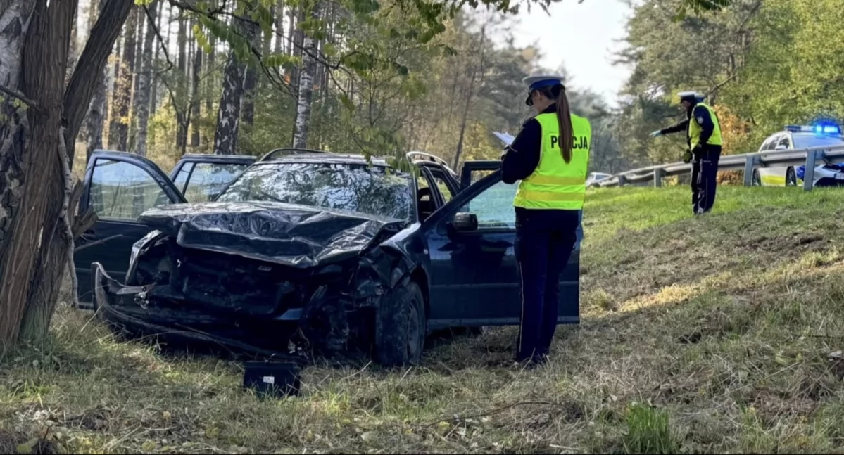 Do wypadku doszło 1 listopada na drodze krajowej nr 22 (Fot. KPP Czarnków)