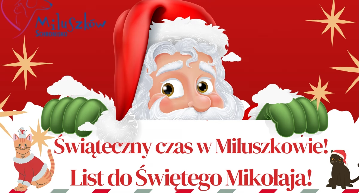 Akcje, Mikołaja - zdjęcie, fotografia