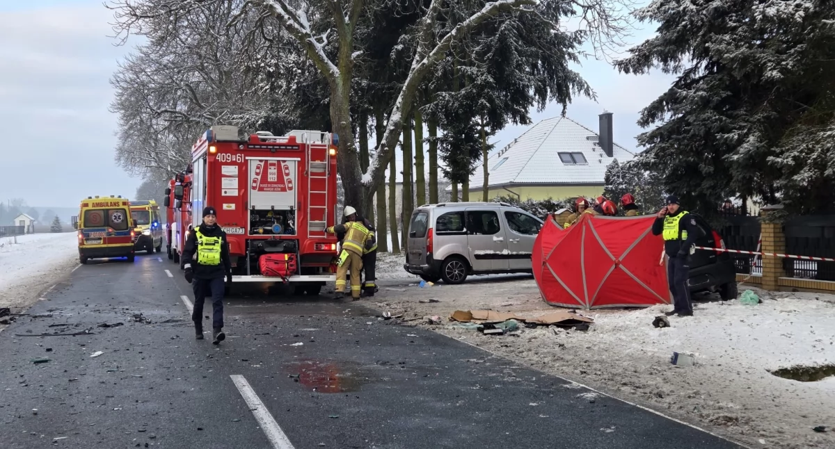 Śmiertelny wypadek na DW193 w miejscowości Studźce (fot. KP PSP Chodzież)