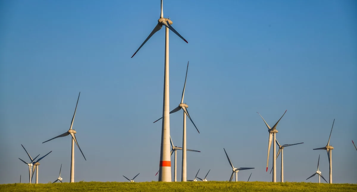 W gminie Wałcz powstaje jedna z największych w Polsce farm wiatrowych (Fot. Pixabay)