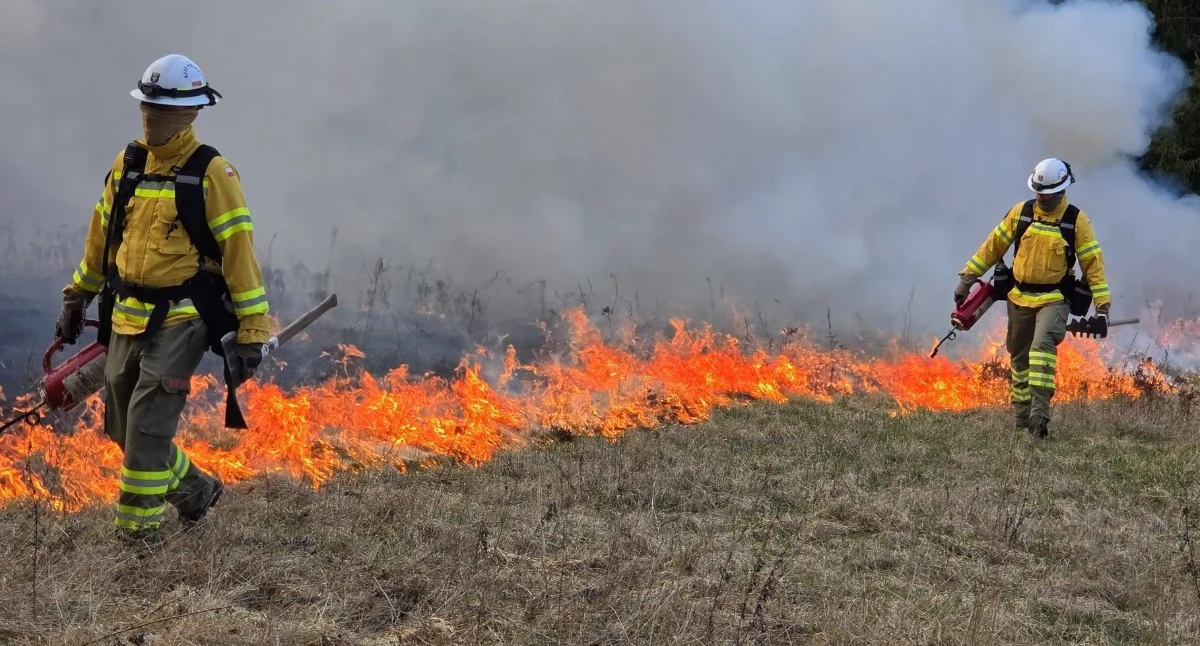 Pod Chodzieżą odbywają się wojewódzkie ćwiczenia ratownicze GFFF POZNAŃ 2026 (Fot. KP PSP Chodzież)