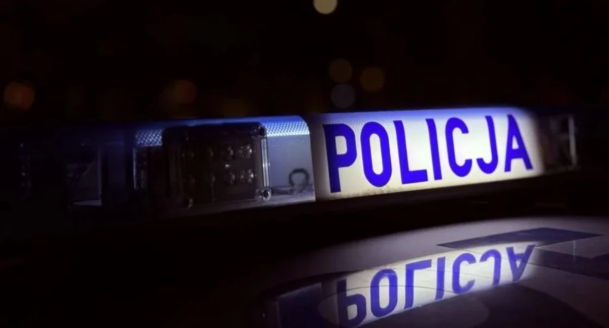 Do wypadku doszło w nocy na DW 181 w miejscowości Kawczyn (Fot. policja.gov.pl)