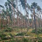 fot. RDLP Piła