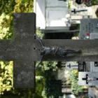 zdjęcie nr 12
