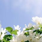 istockphoto-1368243946-612x612