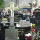 zdjęcie nr 14
