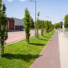 DJI_0459_-1