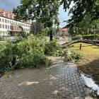 zdjęcie nr 32