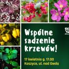 fot. UM Piła