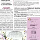 Euro Consulting_prawa