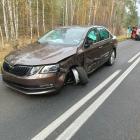 Fotka nr 3 z 7