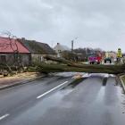 272576581_1579622192394393_8306651304985830556_n