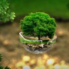 environment-2196690-1