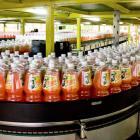 zbyszko-company-04-1024x478