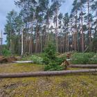 fot. RDLP Piła