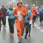 zdjęcie nr 18