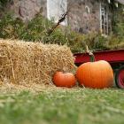 istockphoto-176062514-612x612