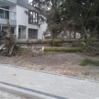 zdjęcie nr 8