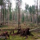 foto. R. Homel - małe4