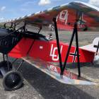 Fotka nr 2 z 45