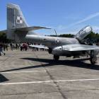 Fotka nr 4 z 14