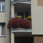 DSCN4634