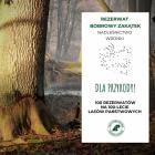 fot. materiały prasowe RDLP w Pile