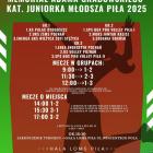 Fotka nr 1 z 3
