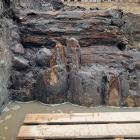 fot. Muzeum Okręgowe w Pile