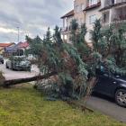 zdjęcie nr 7