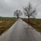 zdjęcie nr 8