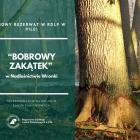 fot. materiały prasowe RDLP w Pile